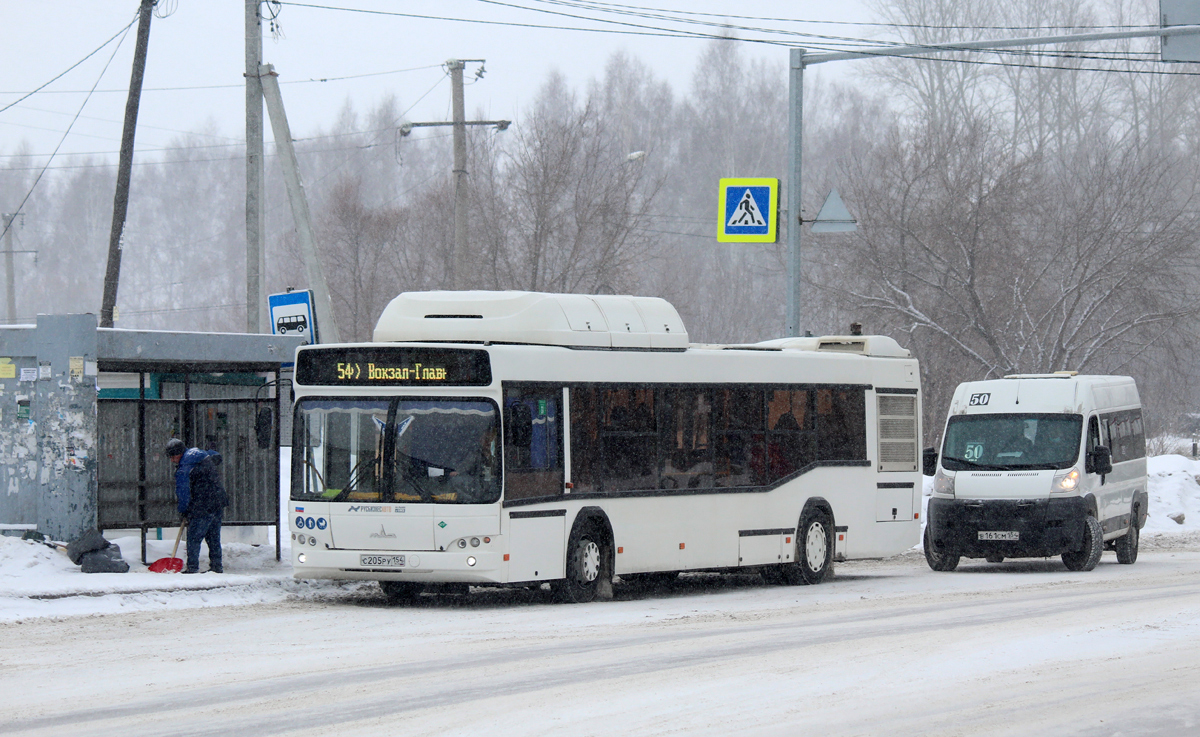 Новосибирская область, МАЗ-103.965 № 11008