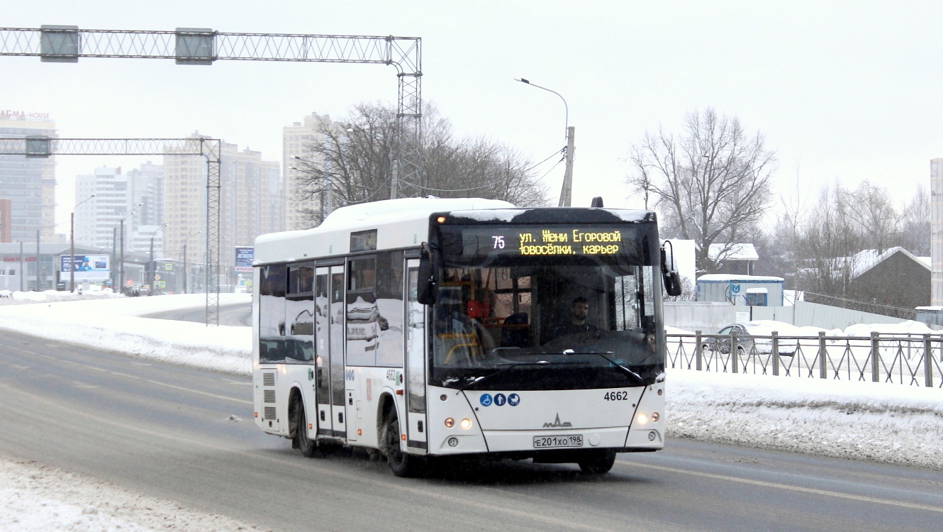 Санкт-Петербург, МАЗ-206.086 № 4662