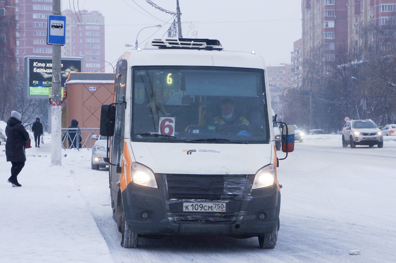 Московская область, Луидор-2250DS (ГАЗ Next) № 1732