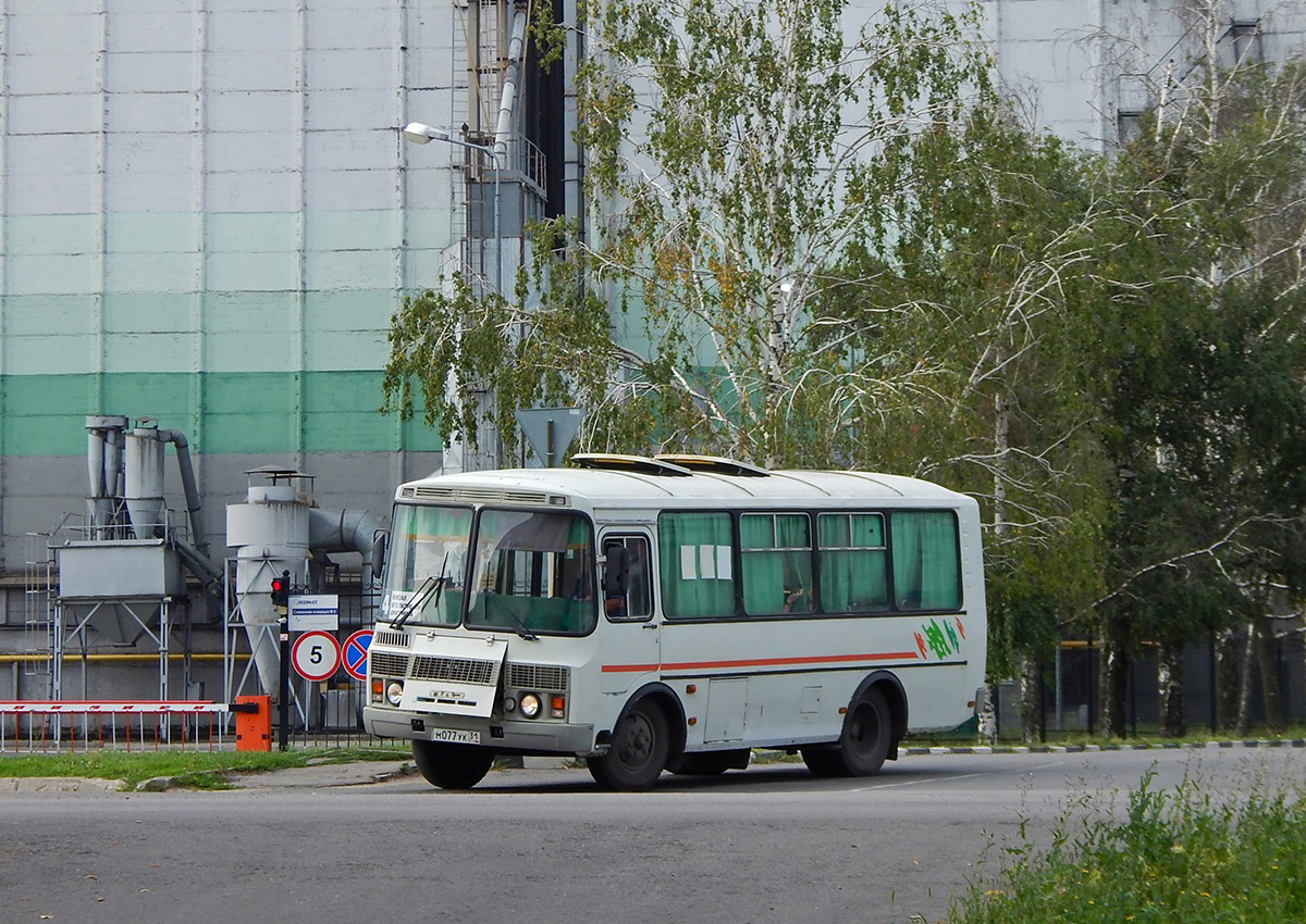 Белгородская область, ПАЗ-32054 № М 077 УК 31