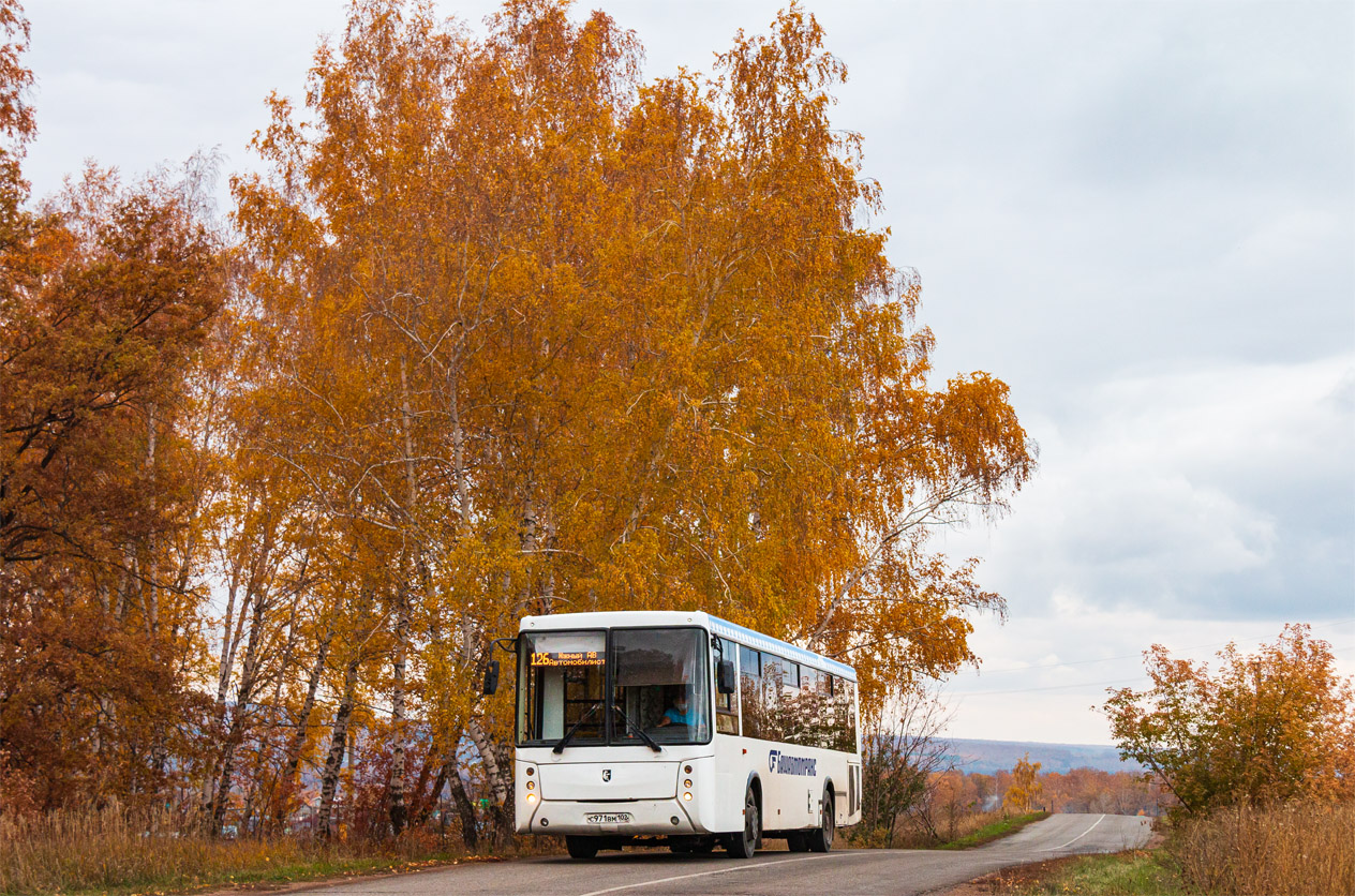 Bashkortostan, NefAZ-5299-30-42 Nr. 1365