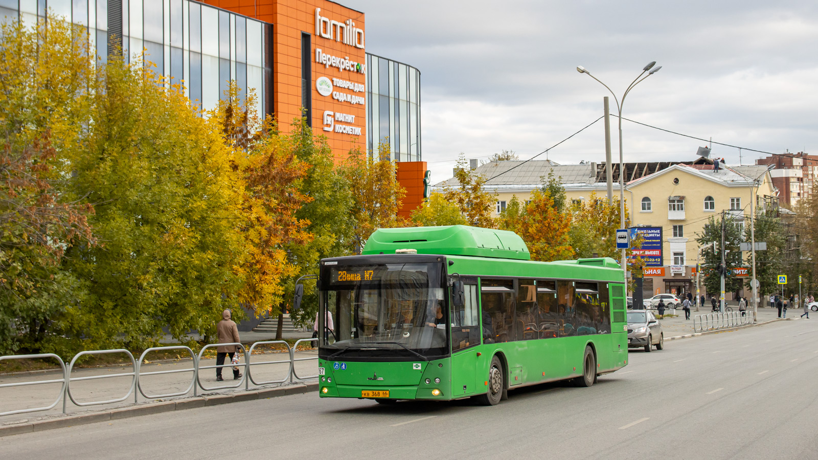 Свердловская область, МАЗ-203.L65 № 1767