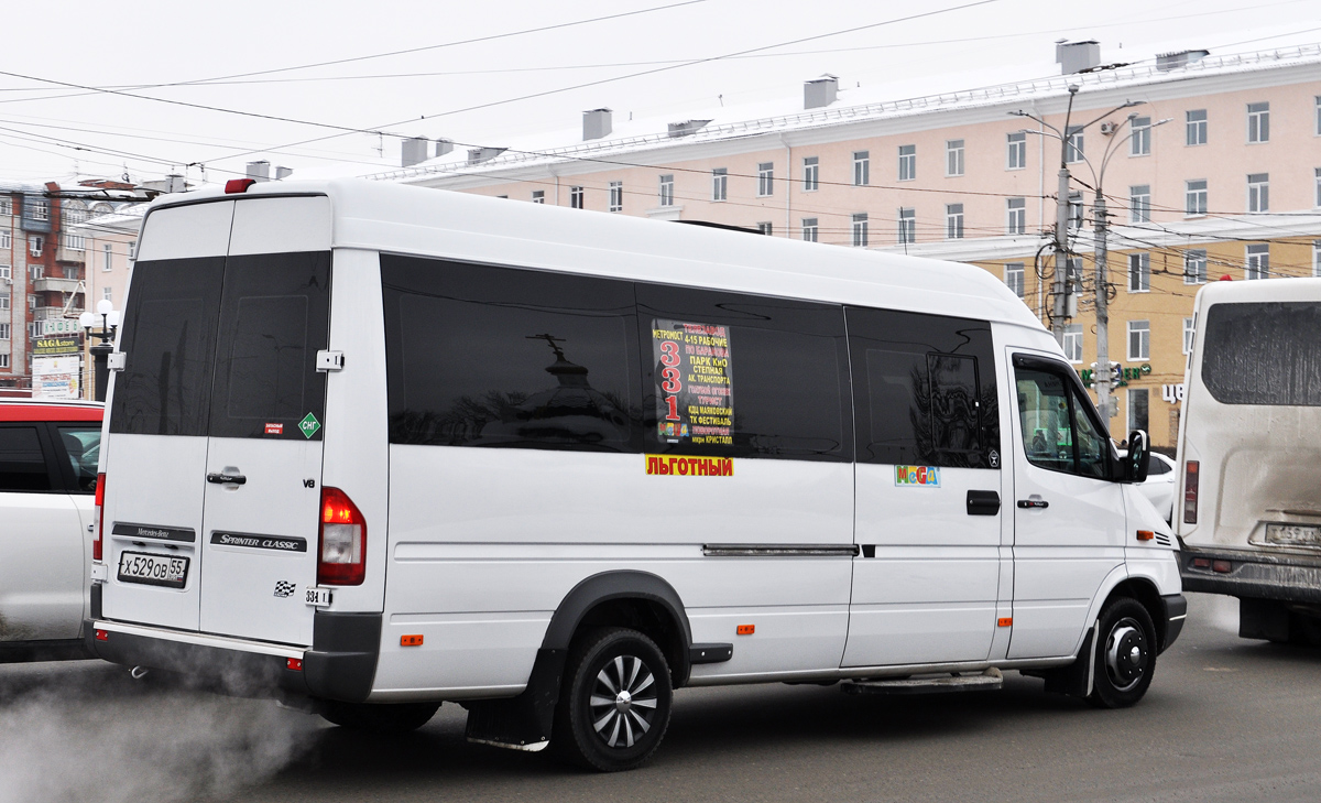 Омская область, Луидор-223201 (MB Sprinter Classic) № Х 529 ОВ 55