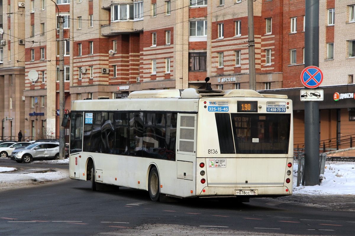 Санкт-Петербург, МАЗ-203.085 № 8136