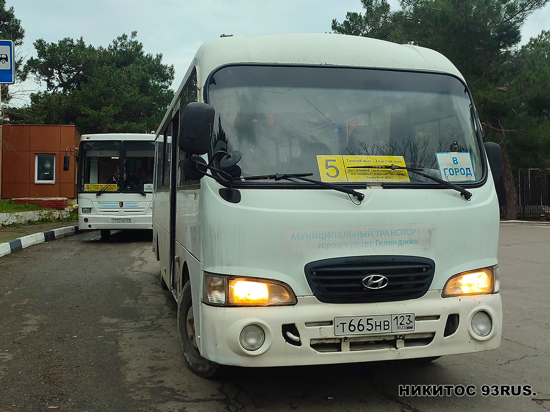 Краснодарский край, Hyundai County LWB C11 (ТагАЗ) № Т 665 НВ 123