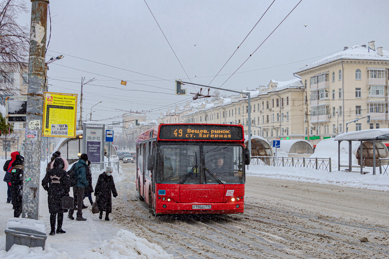 Татарстан, МАЗ-103.465 № 217