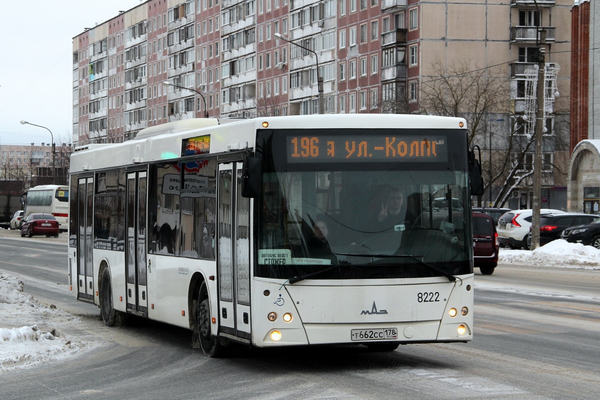 Санкт-Петербург, МАЗ-203.085 № 8222