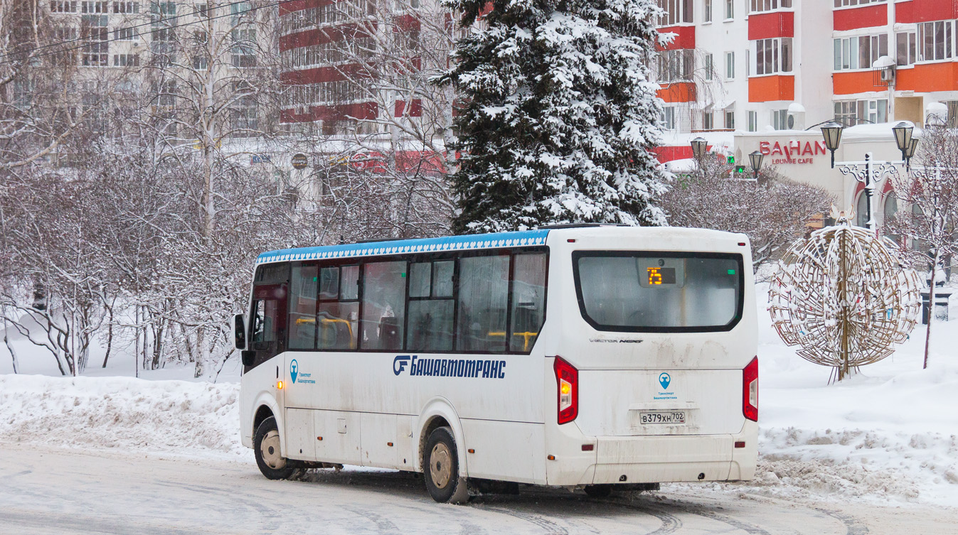 Башкортостан, ПАЗ-320415-04 "Vector Next" № 6250