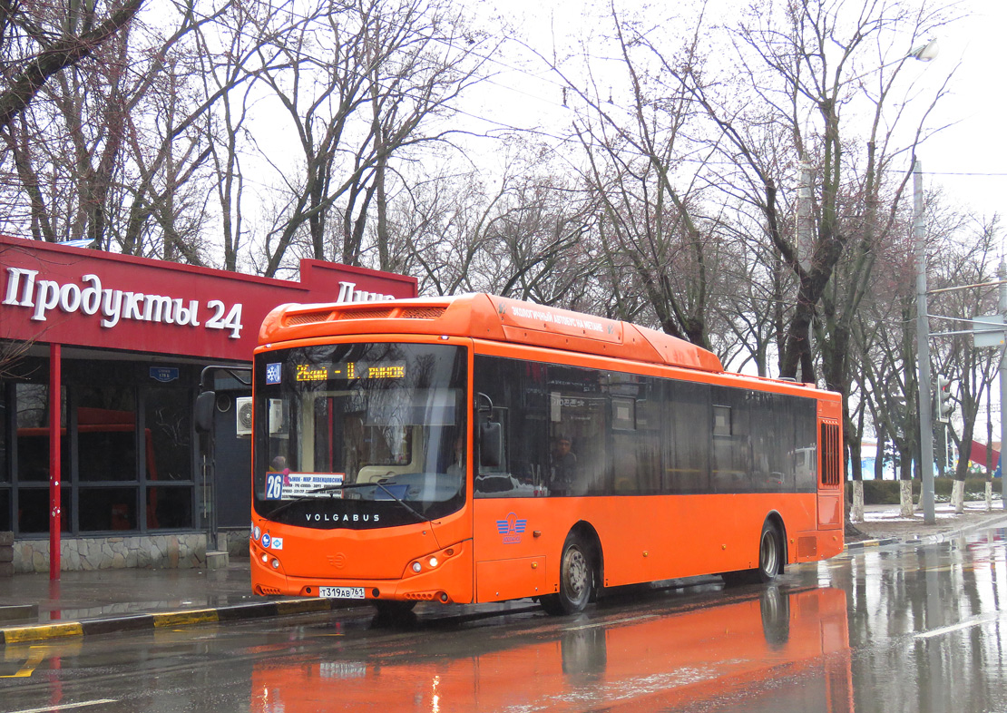 Ростовская область, Volgabus-5270.G2 (CNG) № Т 319 АВ 761