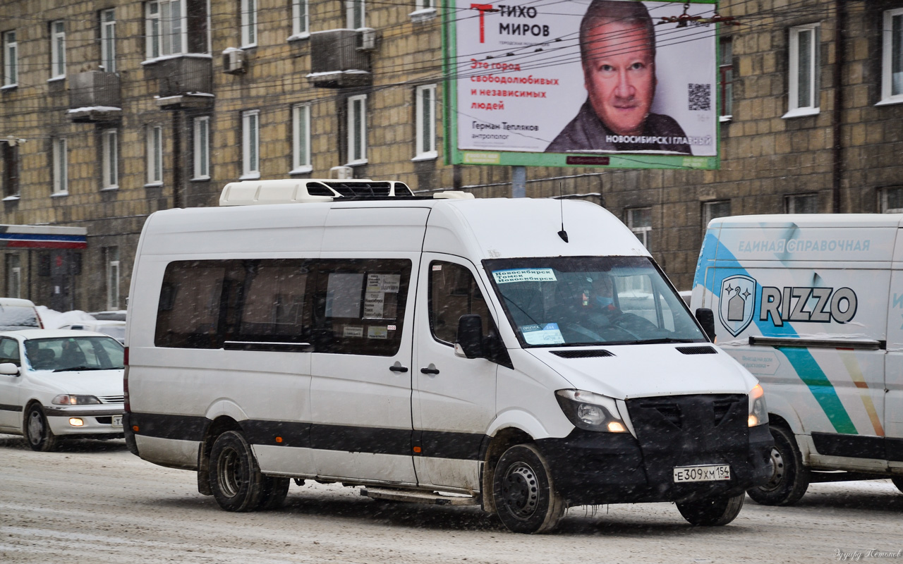 Новосибирская область, Луидор-223602 (MB Sprinter) № Е 309 ХМ 154