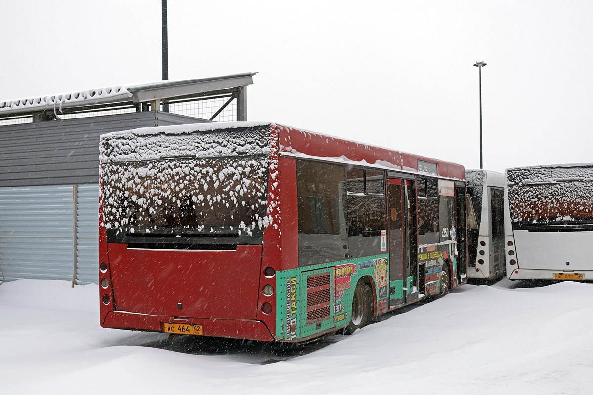 Kemerovo region - Kuzbass, MAZ-206.068 # 250