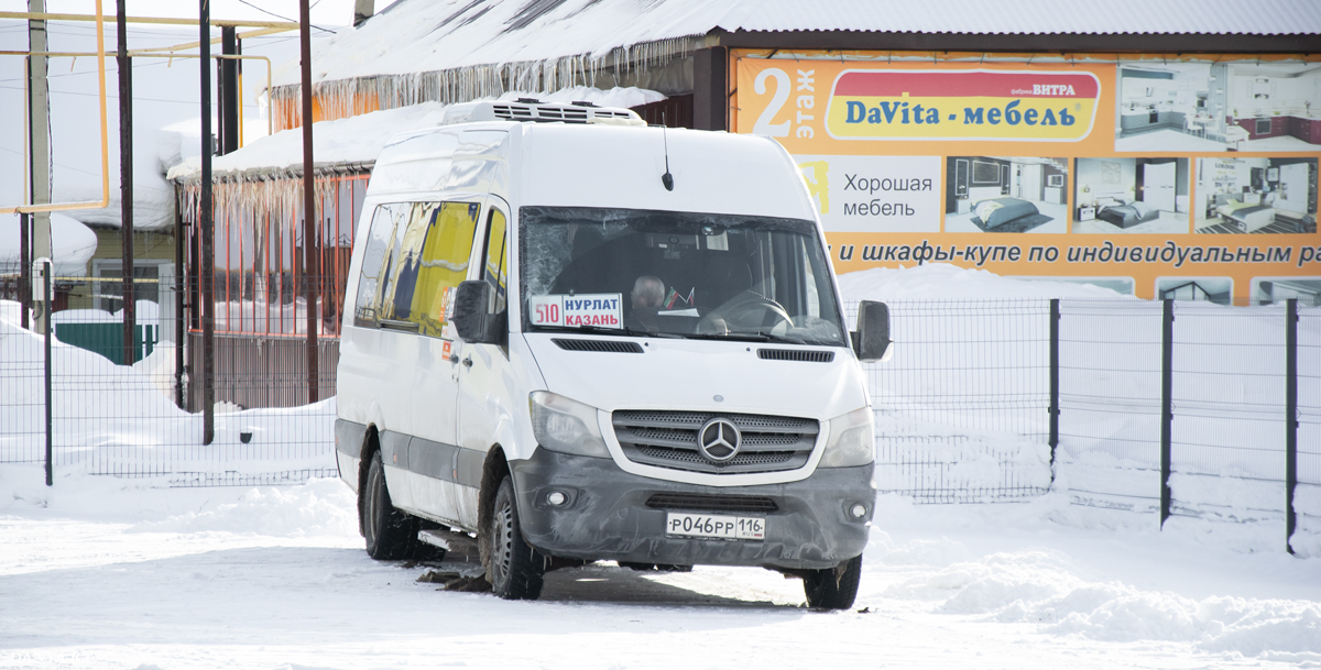 Татарстан, Луидор-223602 (MB Sprinter) № Р 046 РР 116