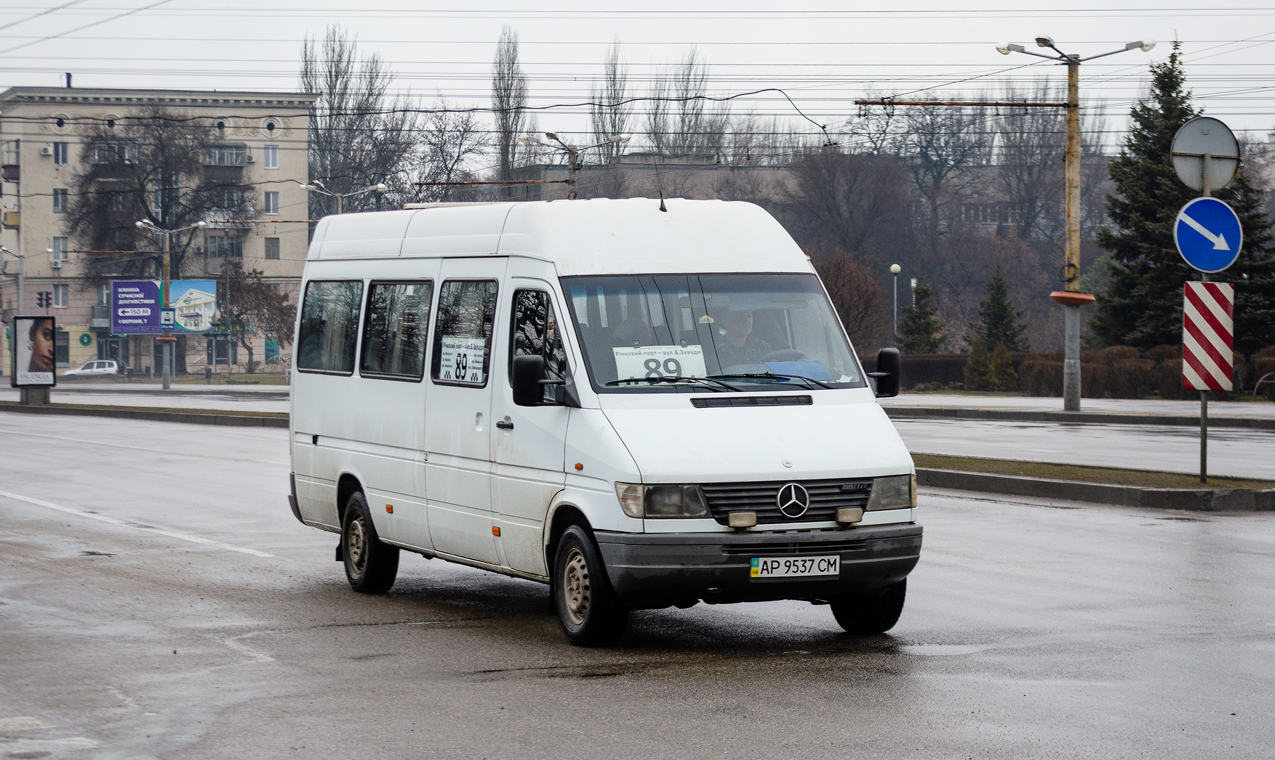 Запорожская область, Mercedes-Benz Sprinter W903 310D № AP 9537 CM