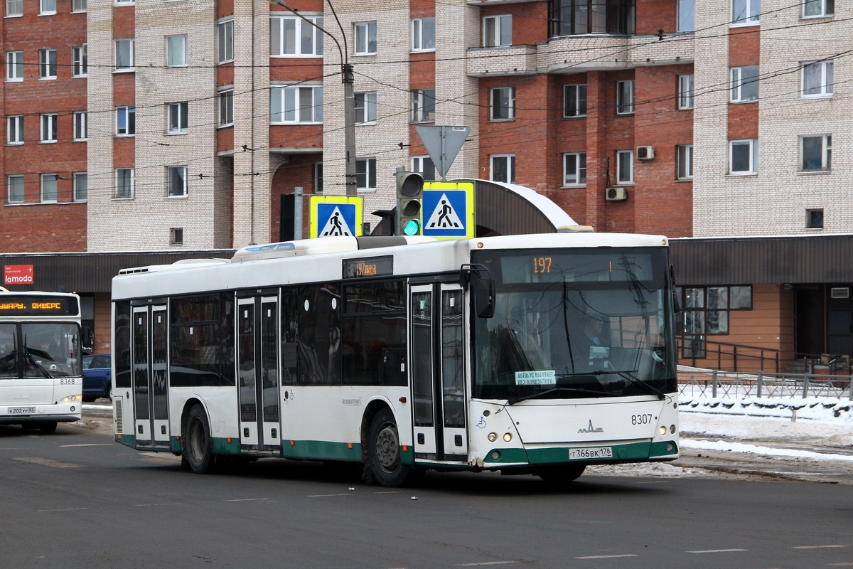 Санкт-Петербург, МАЗ-203.085 № 8307