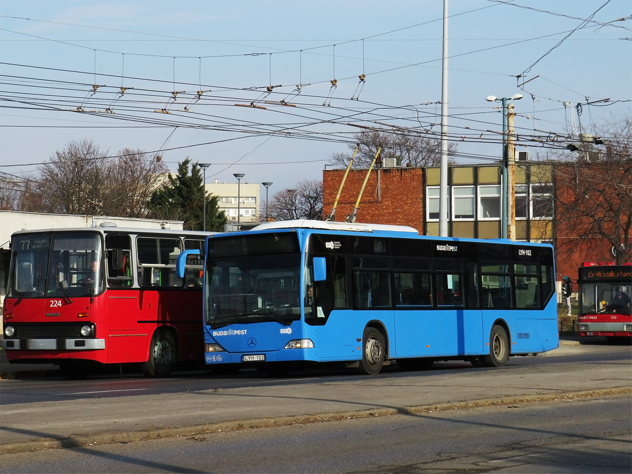 Венгрия, Mercedes-Benz O530 Citaro № LYH-102