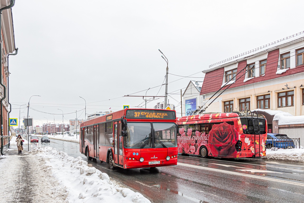 Татарстан, МАЗ-103.465 № 101