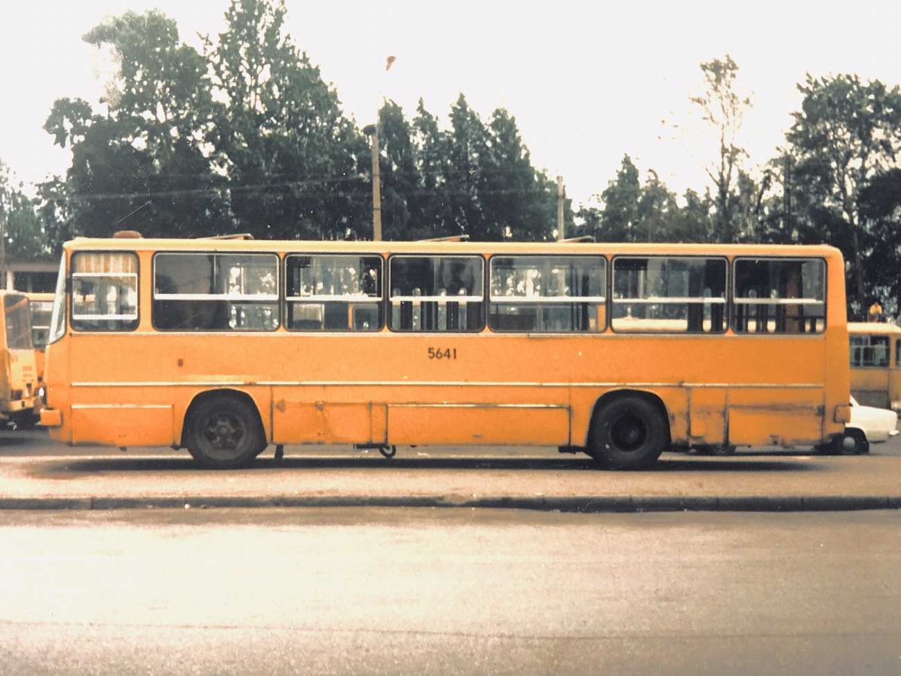 Санкт-Петербург, Ikarus 260.37 № 5641