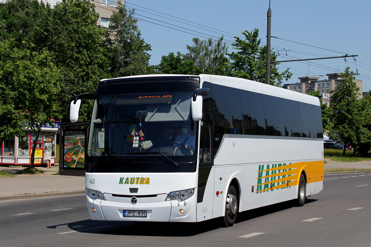 Литва, Temsa HD13 № 463