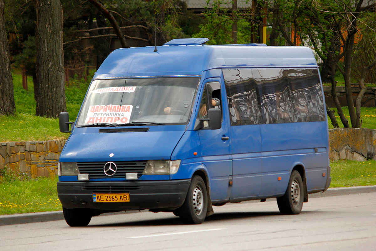 Днепропетровская область, Mercedes-Benz Sprinter W903 312D № AE 2565 AB