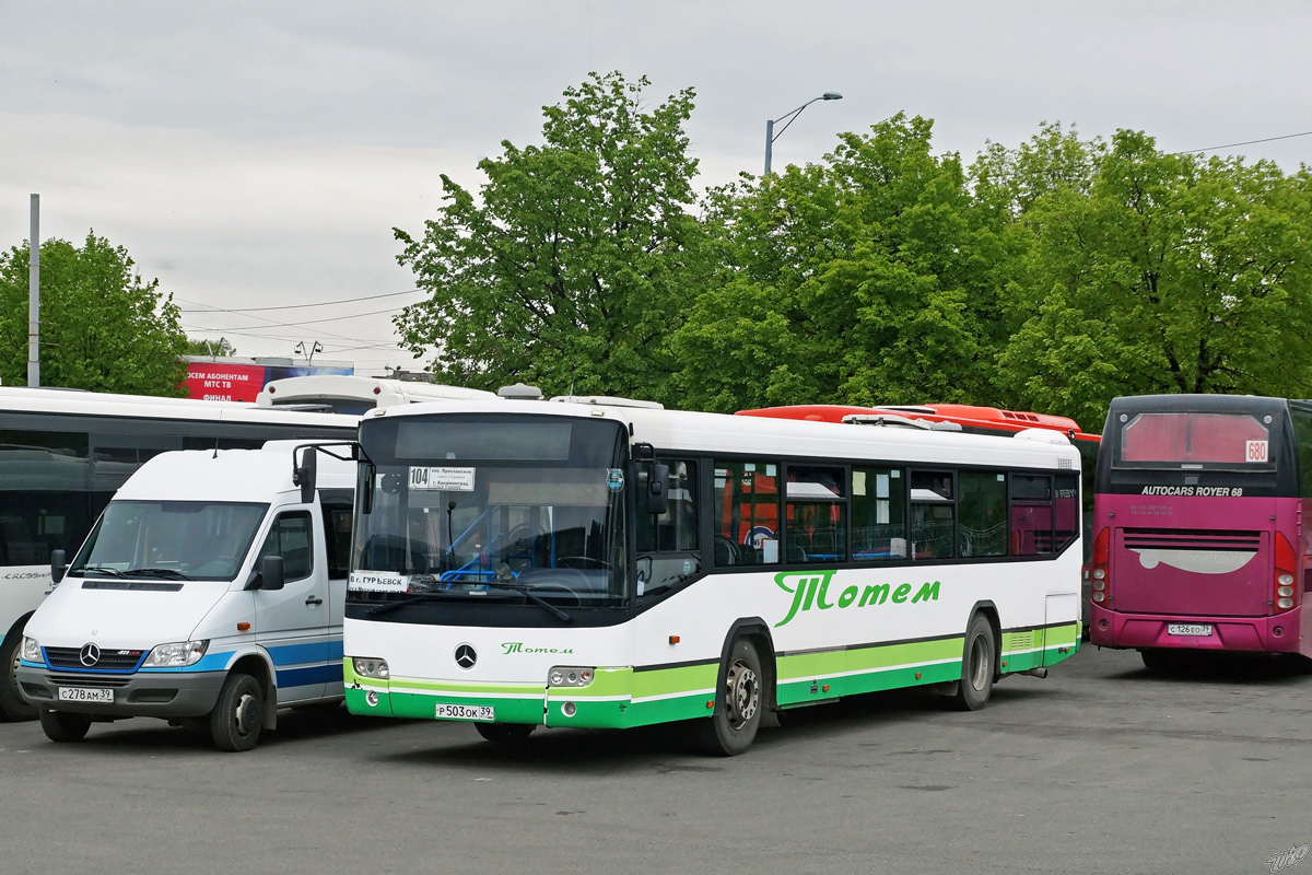 Калининградская область, Mercedes-Benz O345 Conecto C № Р 503 ОК 39