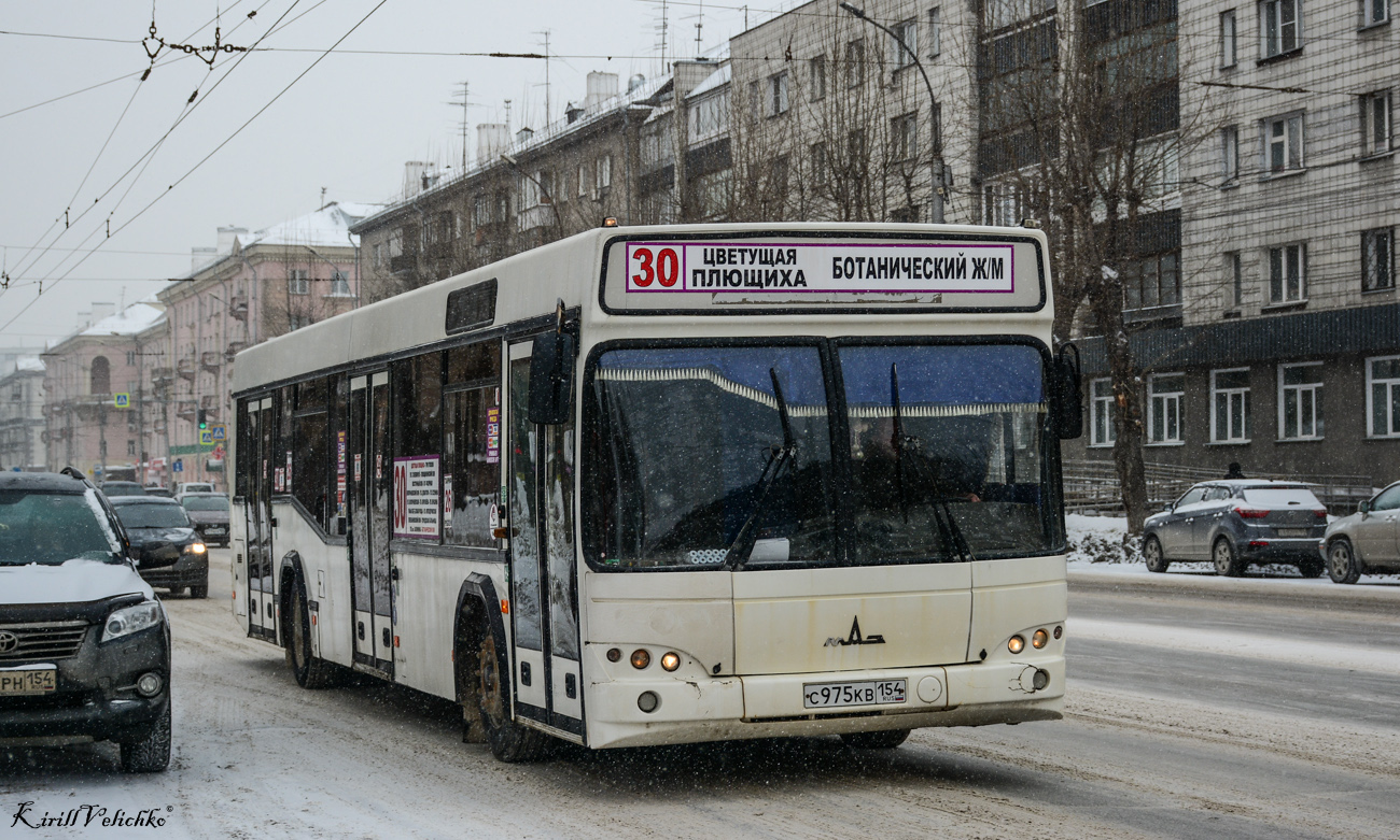 Новосибирская область, МАЗ-103.469 № С 975 КВ 154