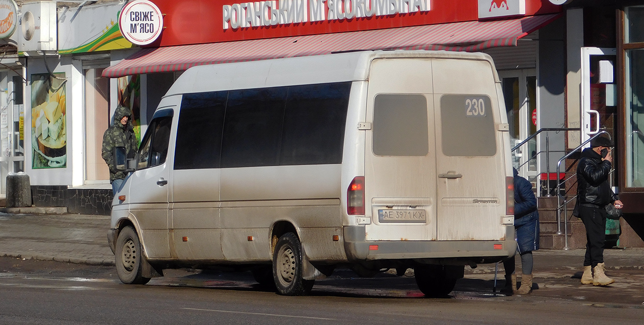 Днепропетровская область, Mercedes-Benz Sprinter W903 313CDI № 12335