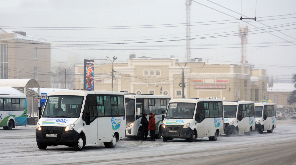 Omsk region, Luidor-2250DS (GAZ Next) # 556; Omsk region — Bus stops