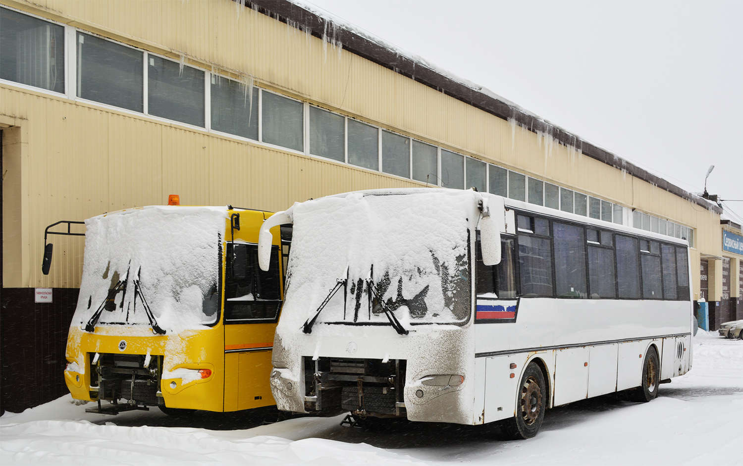 Тюменская область — Автобусы без номеров