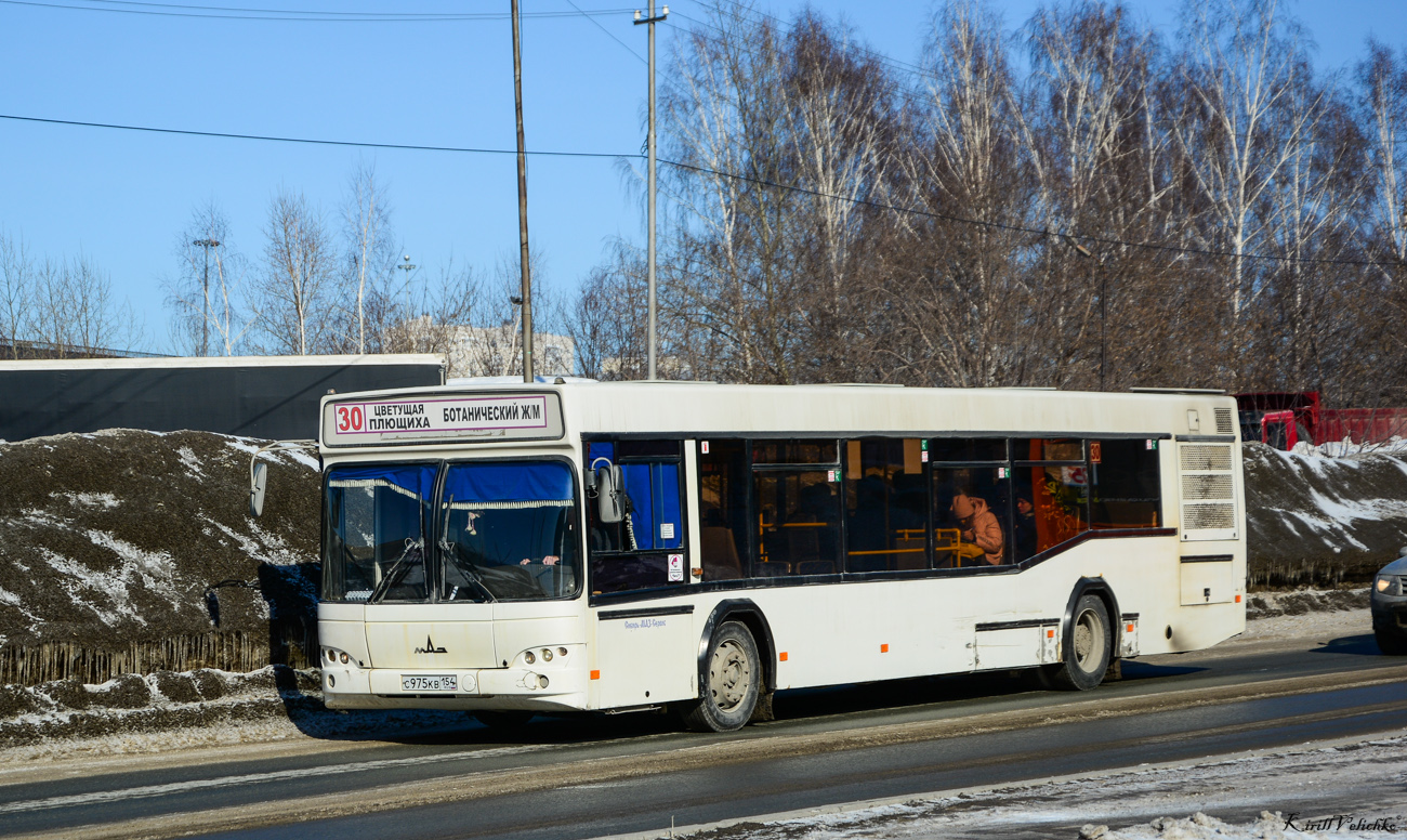 Новосибирская область, МАЗ-103.469 № С 975 КВ 154