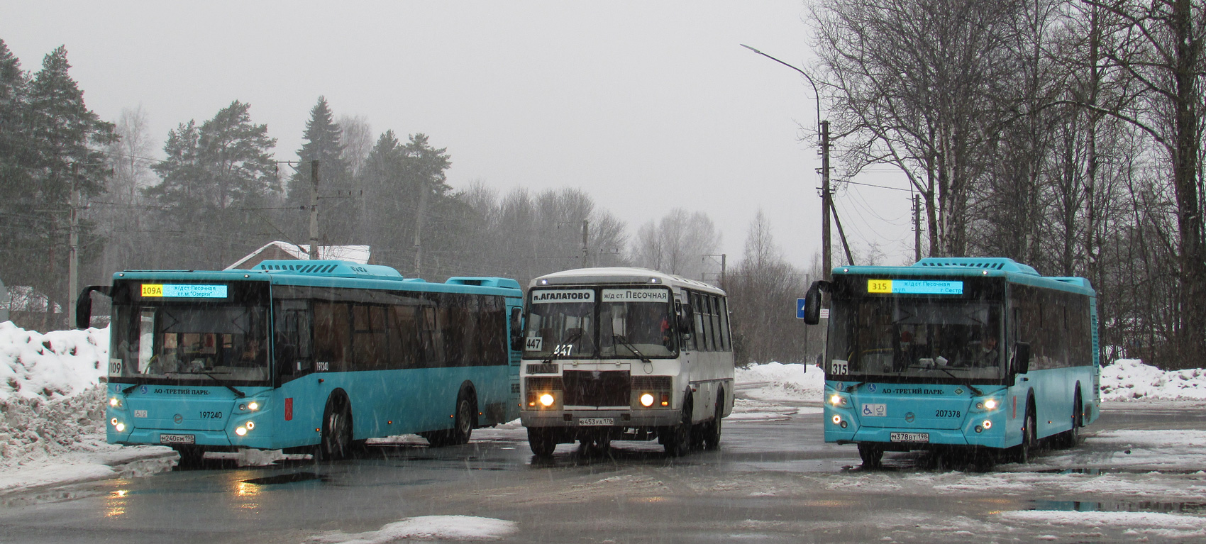 Sankt Peterburgas, LiAZ-5292.67 (LNG) Nr. М 240 ЕМ 198; Leningrado sritis, PAZ-4234-05 Nr. 25; Sankt Peterburgas, LiAZ-5292.67 (LNG) Nr. М 378 ВТ 198