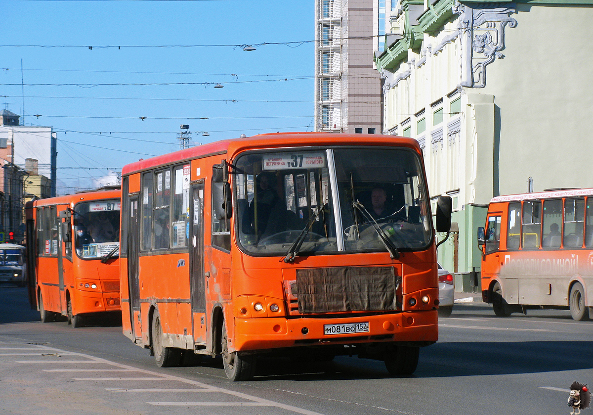 Нижегородская область, ПАЗ-320402-05 № М 081 ВО 152