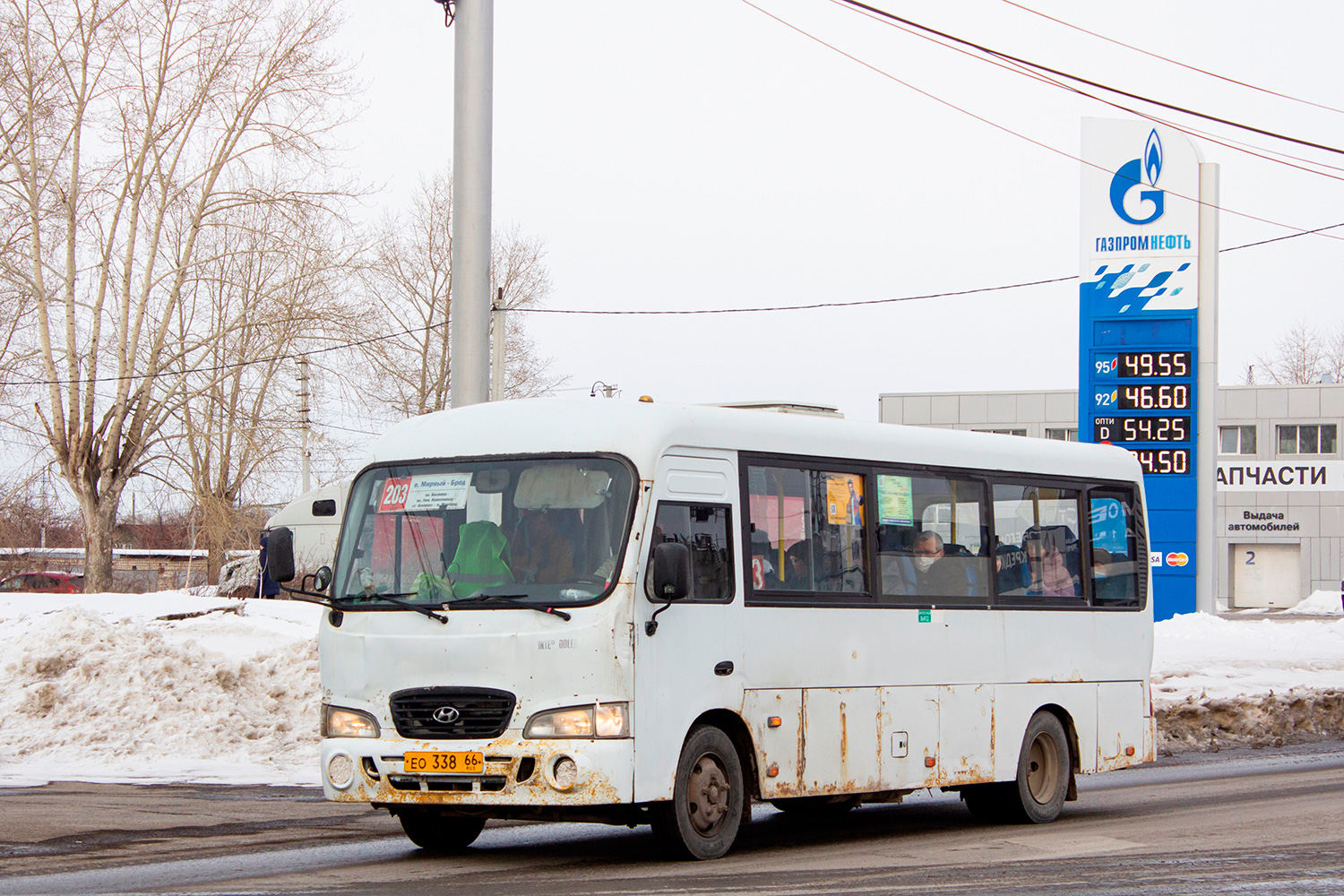 Свердловская область, Hyundai County LWB (ТагАЗ) № ЕО 338 66