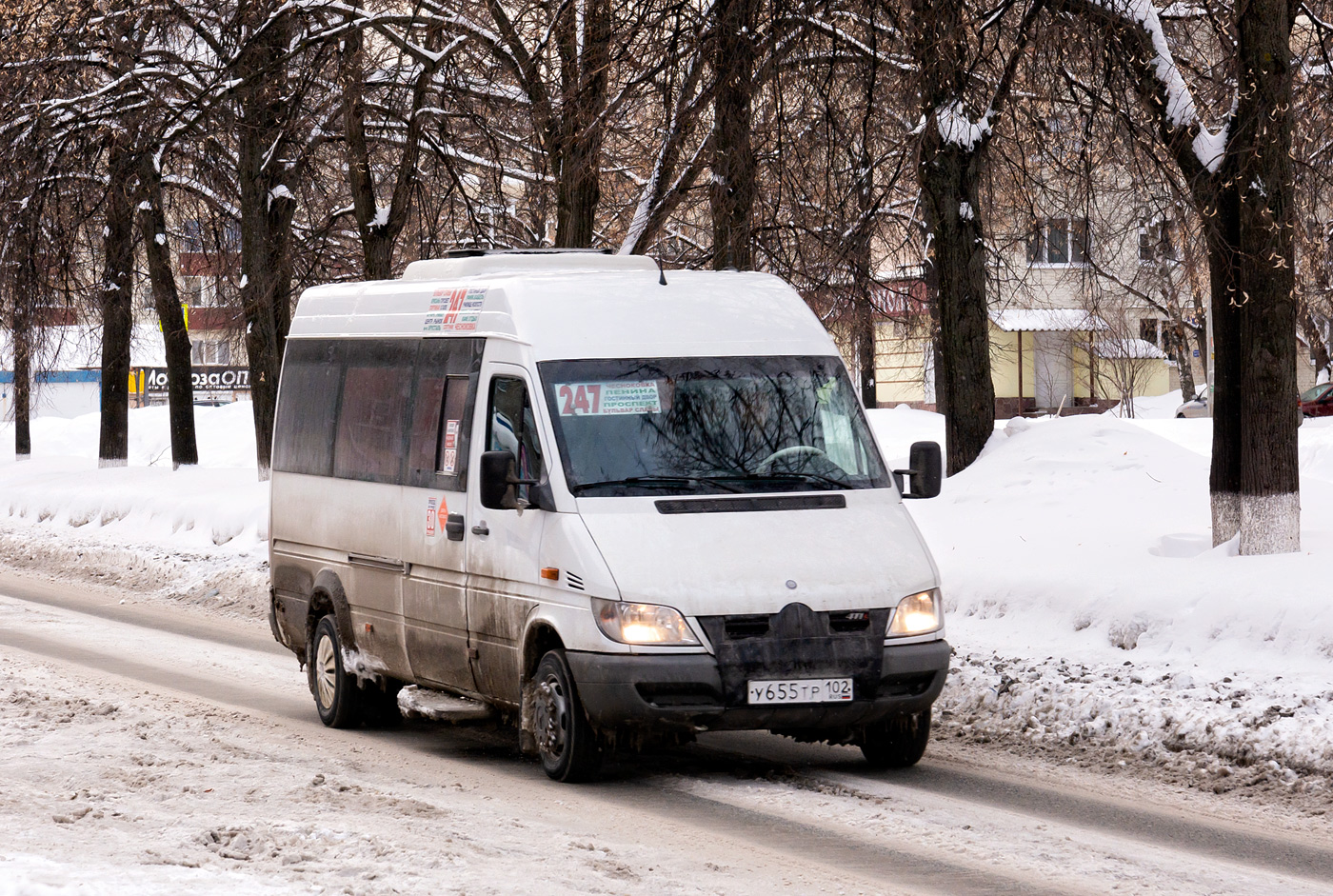 Башкортостан, Луидор-223201 (MB Sprinter Classic) № У 655 ТР 102