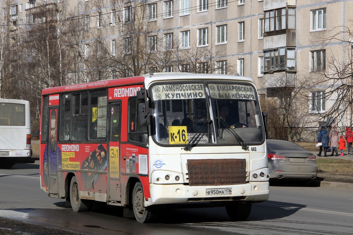 Санкт-Петербург, ПАЗ-320402-05 № 443