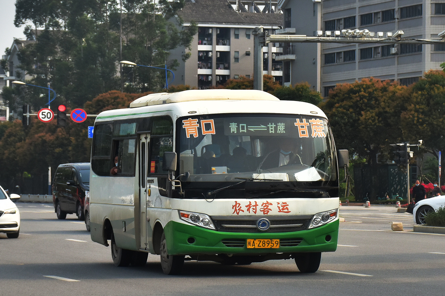 Китай, Sunlong SLK6600C3G № 闽A Z8959