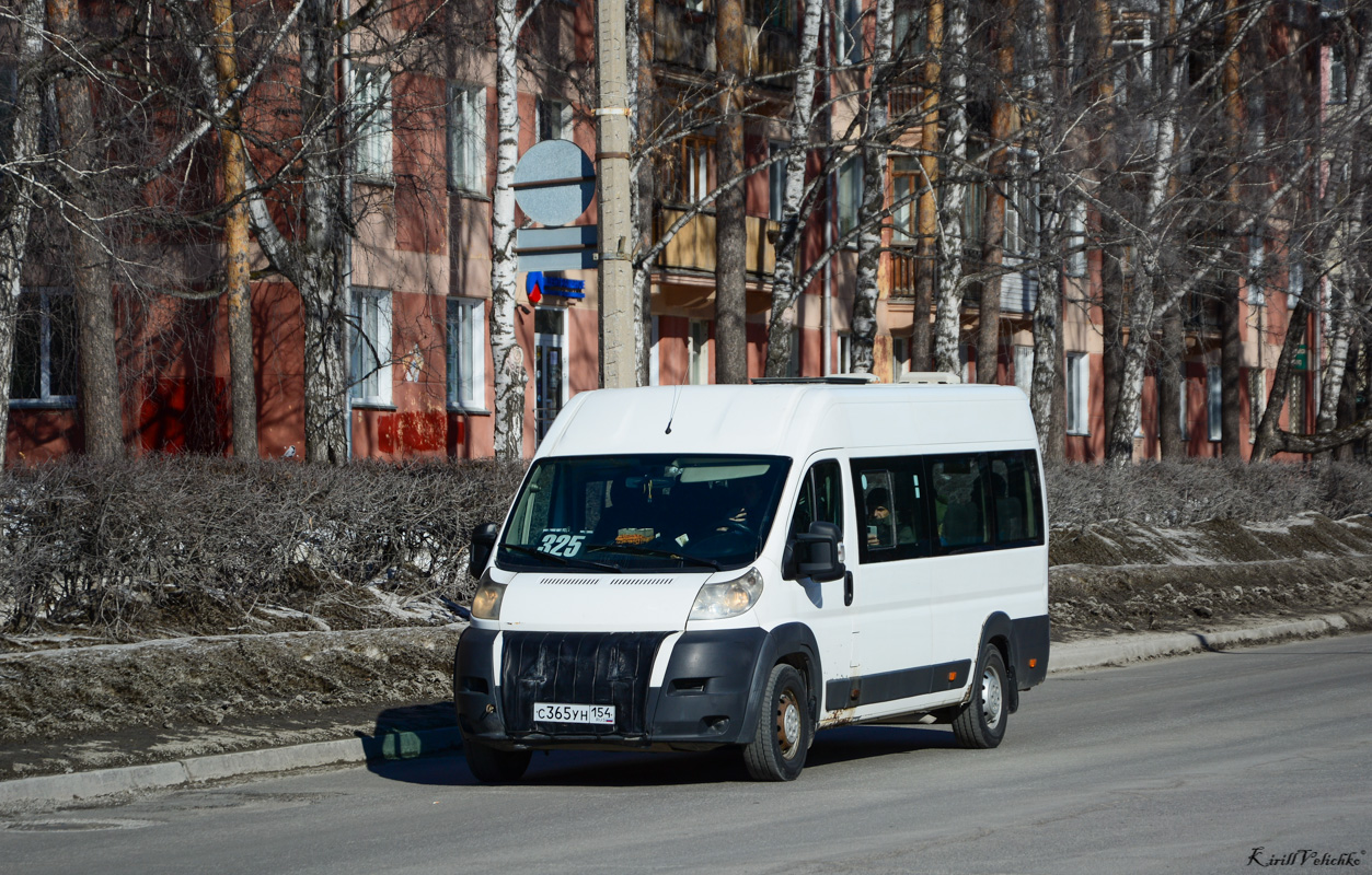 Новосибирская область, Промтех-22437* (Peugeot Boxer) № С 365 УН 154