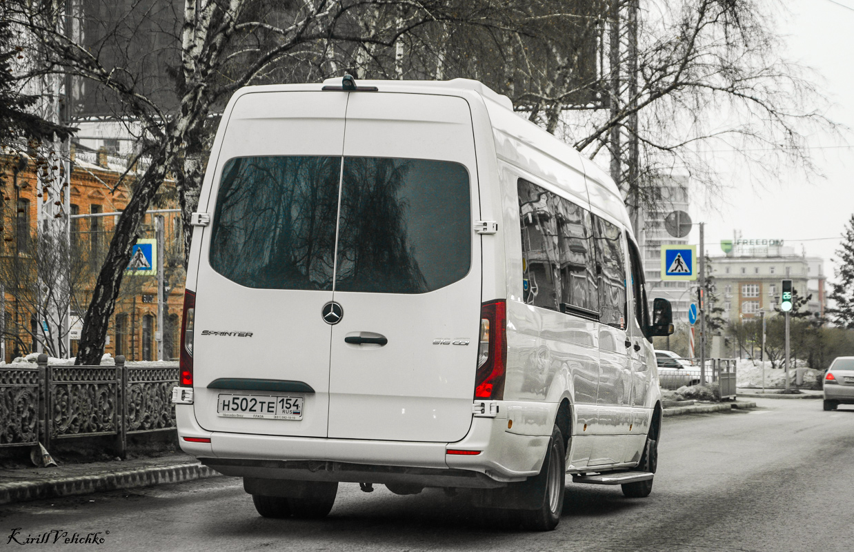 Новосибирская область, Луидор-223602 (MB Sprinter) № Н 502 ТЕ 154