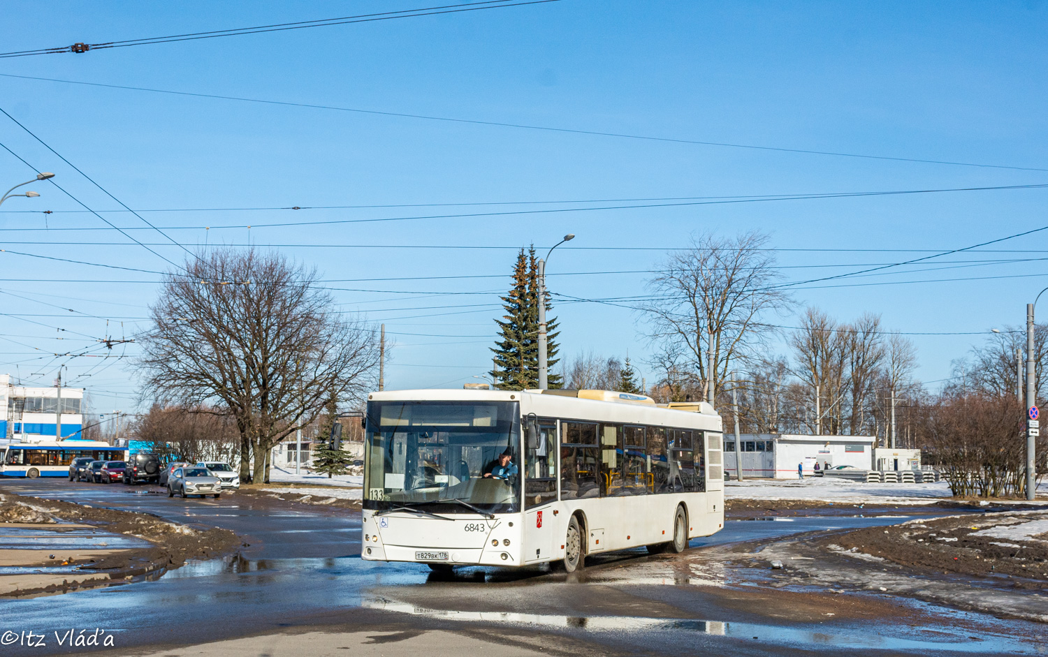 Санкт-Петербург, МАЗ-203.085 № 6843