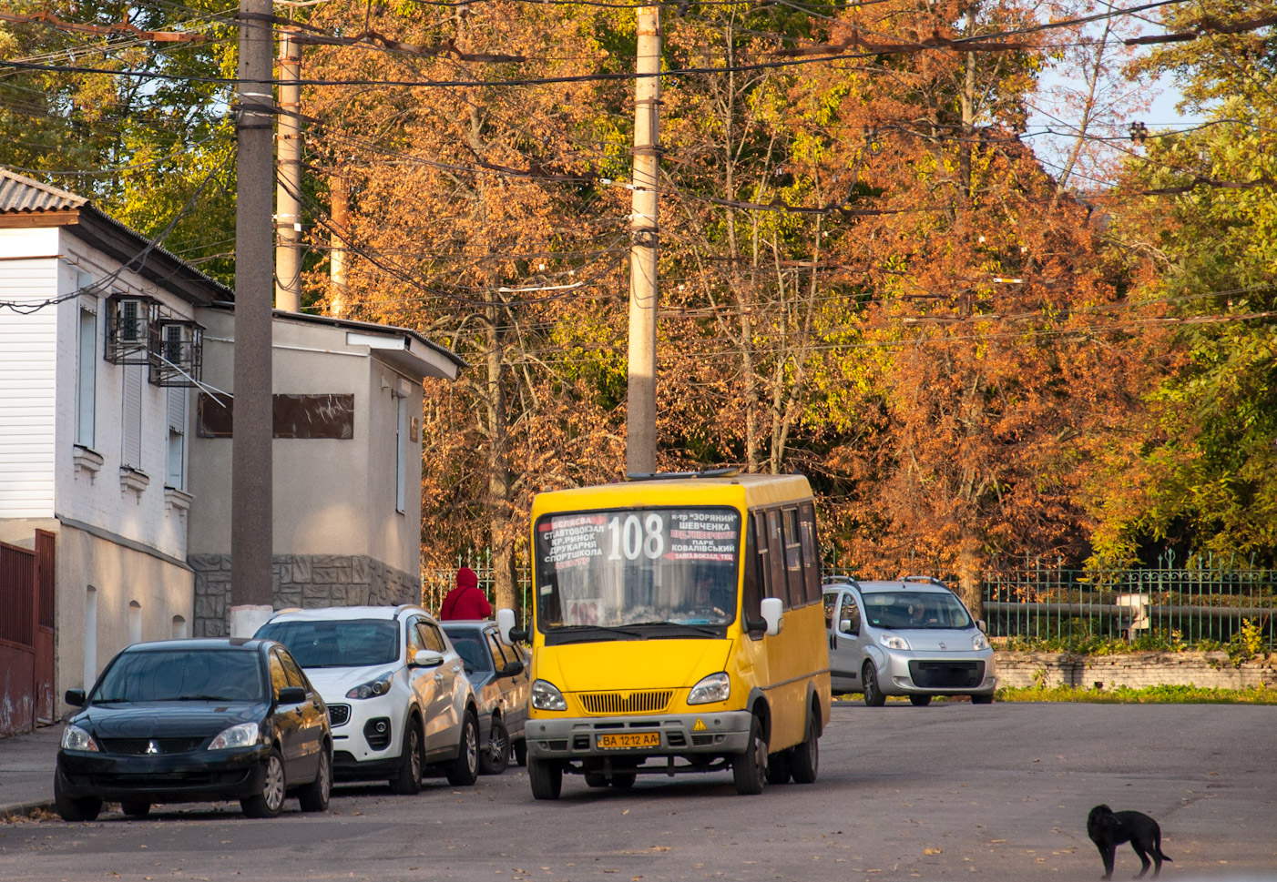 Кировоградская область, БАЗ-2215 "Дельфин" № BA 1212 AA