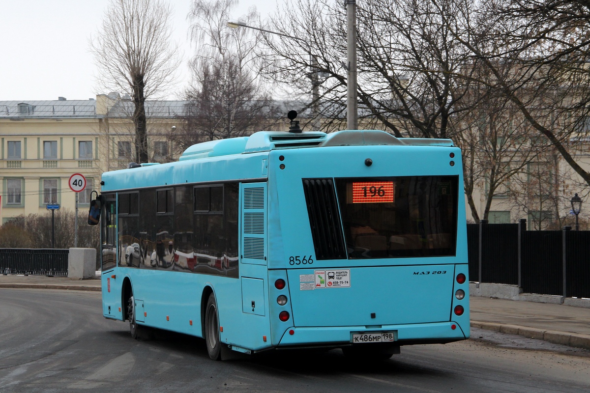 Санкт-Петербург, МАЗ-203.016 № 8566