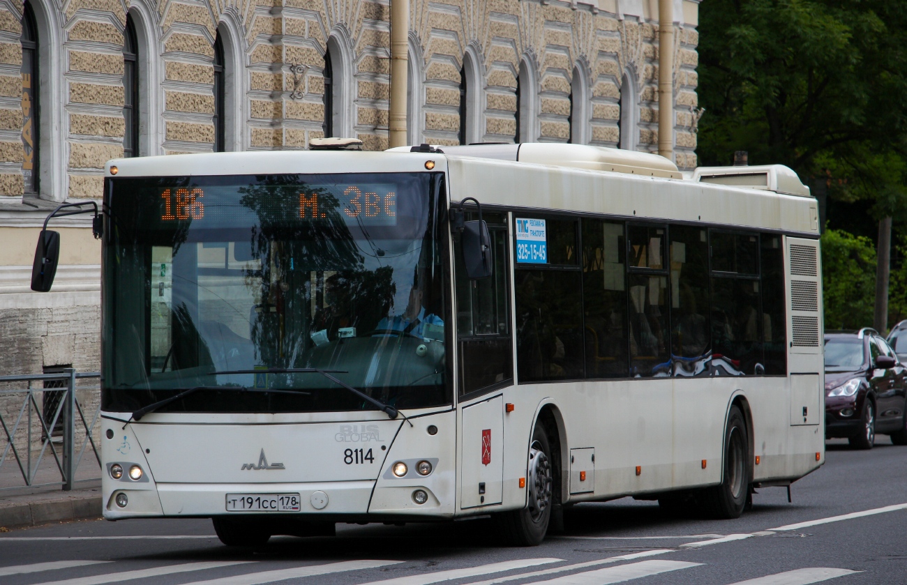 Санкт-Петербург, МАЗ-203.085 № 8114