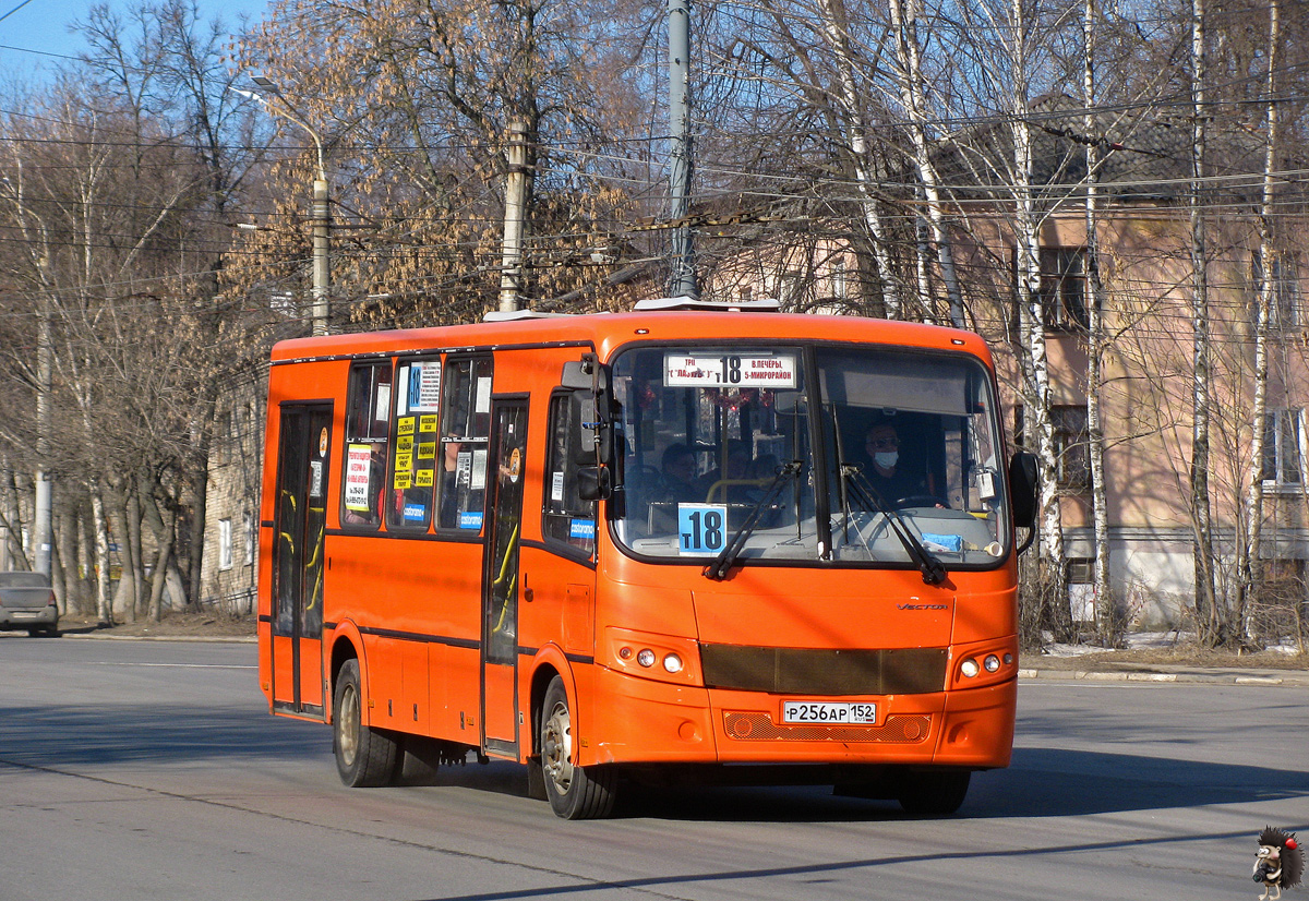 Нижегородская область, ПАЗ-320414-05 "Вектор" № Р 256 АР 152