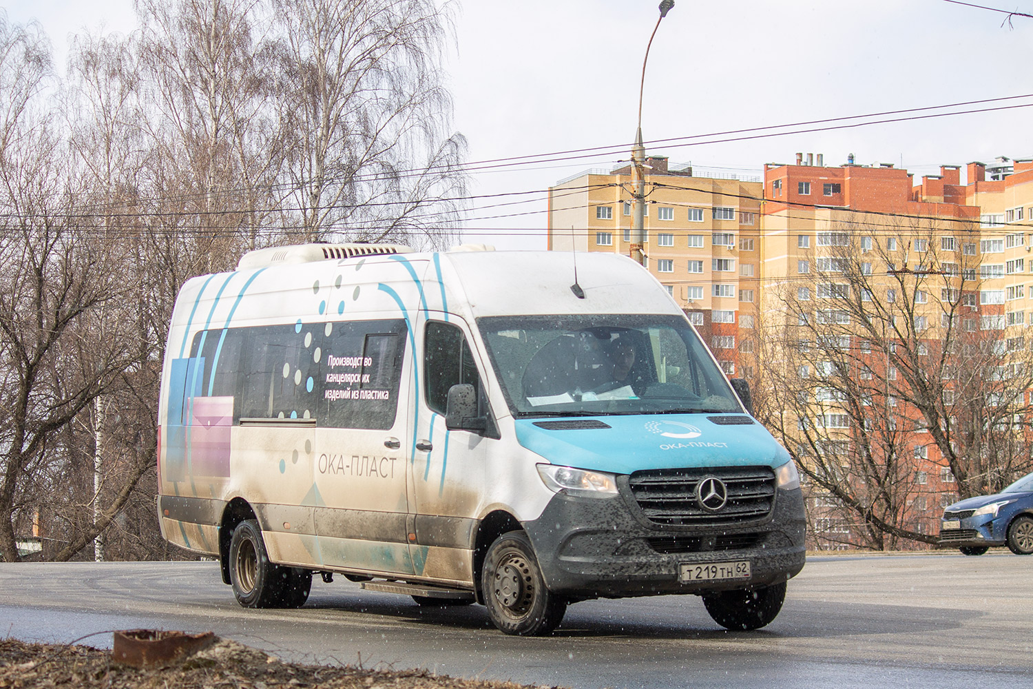 Рязанская область, Луидор-223602 (MB Sprinter) № Т 219 ТН 62