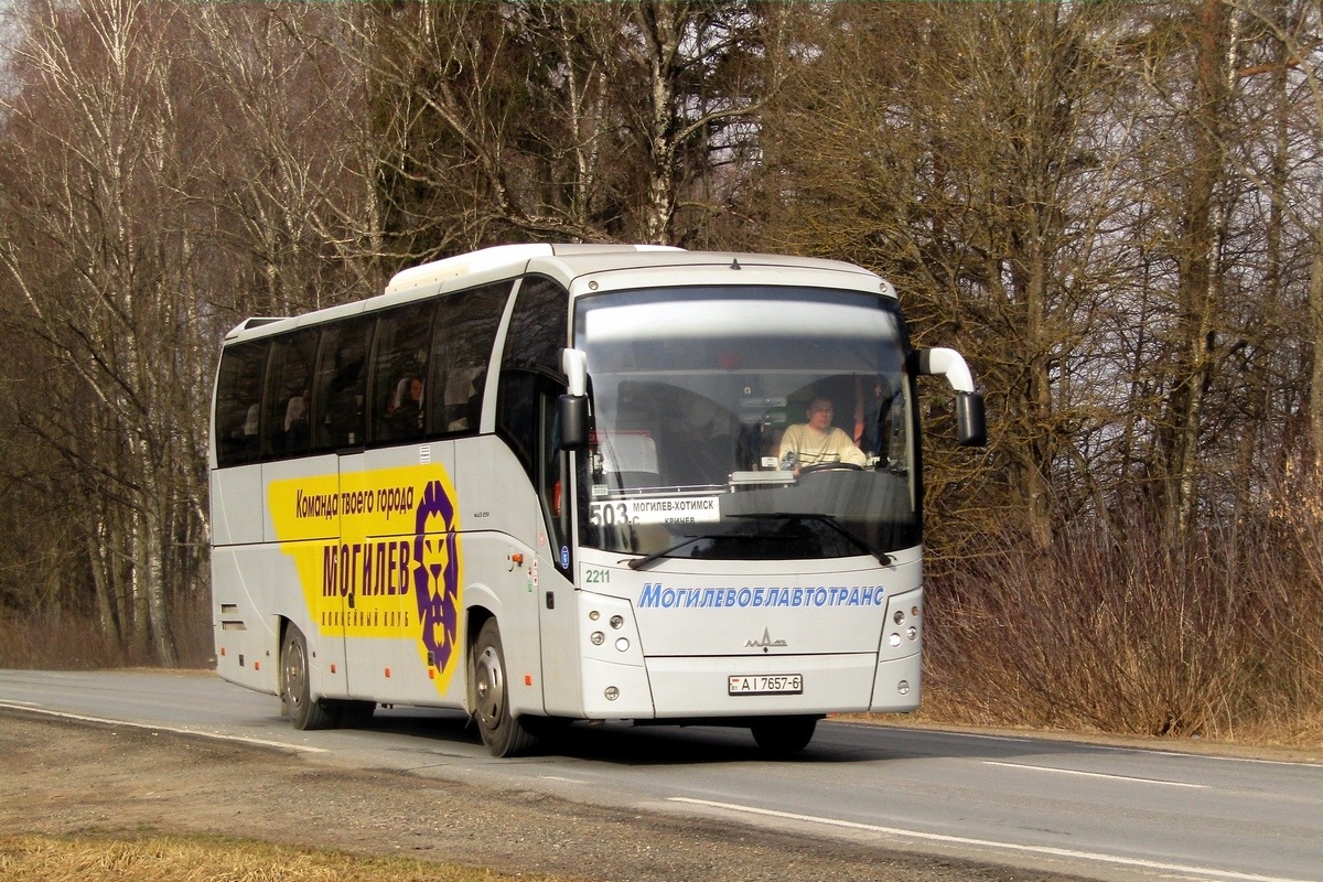 Могилёвская область, МАЗ-251.062 № 2211