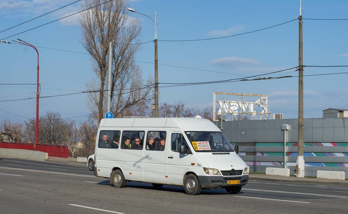 Днепропетровская область, Mercedes-Benz Sprinter W903 313CDI № AE 1274 AB