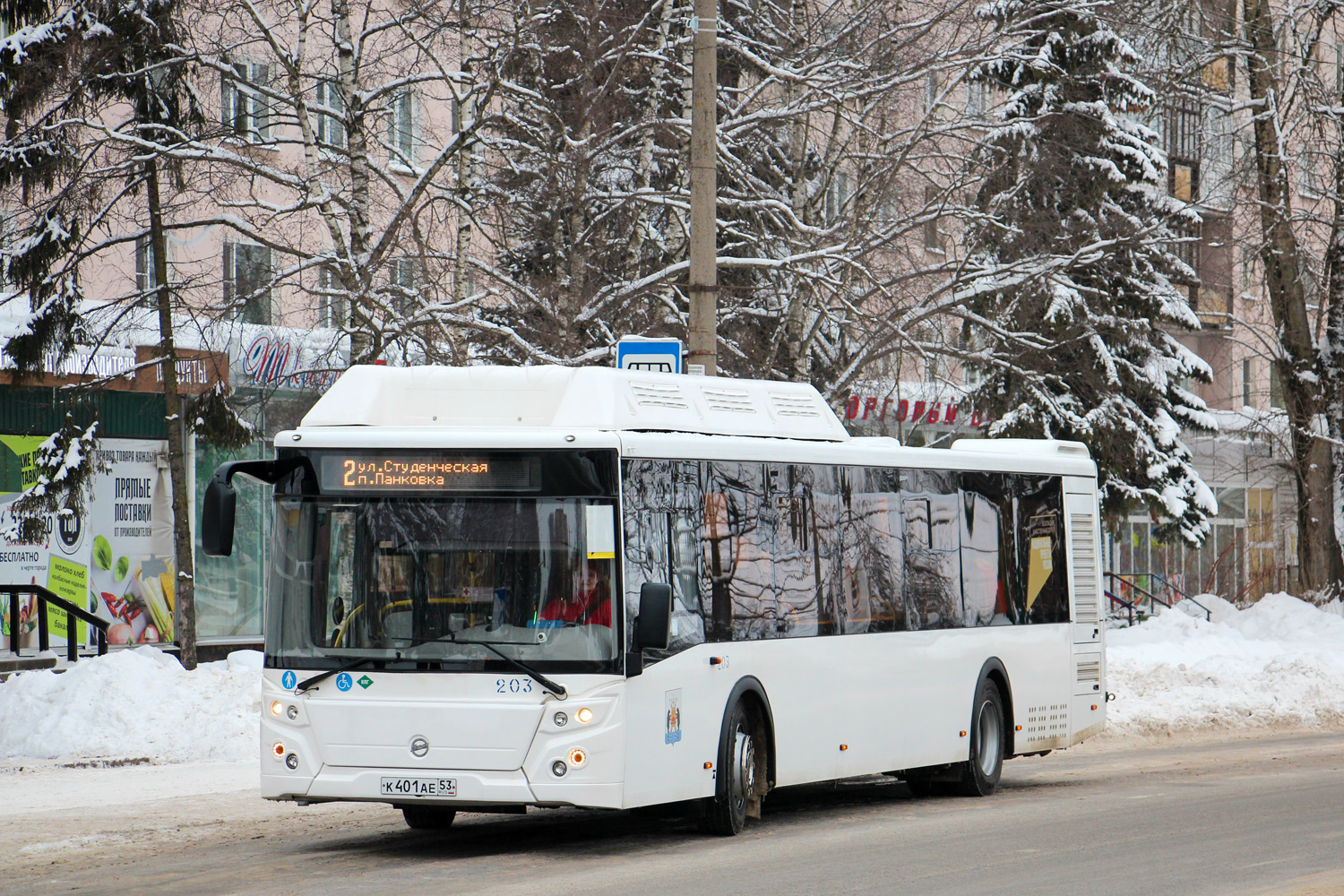 Новгородская область, ЛиАЗ-5292.67 (CNG) № 203