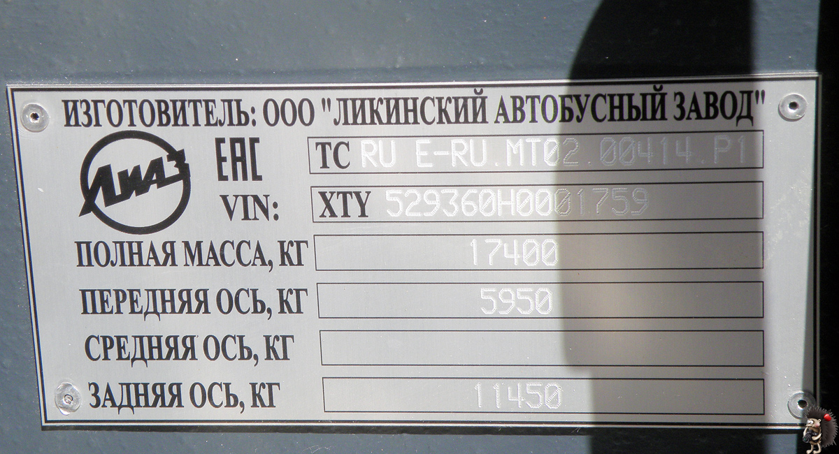 Нижегородская область, ЛиАЗ-5293.60 № 31019