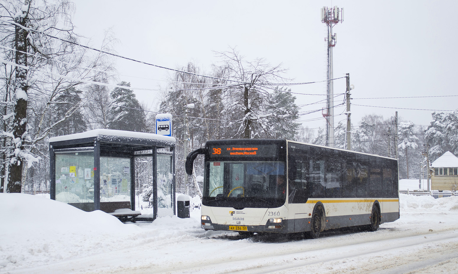 Московская область, MAN A21 Lion's City NL273 № 105236