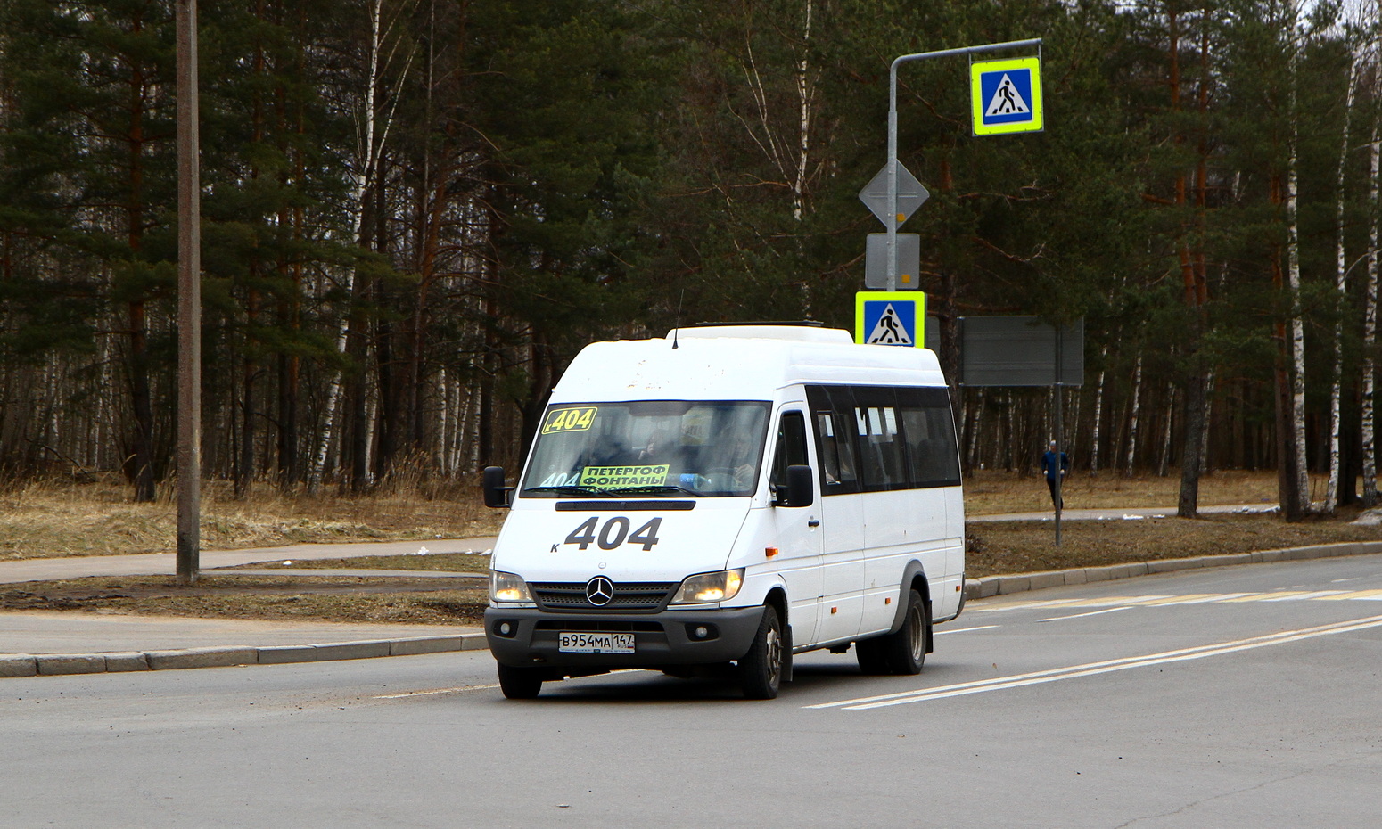 Sanktpēterburga, Luidor-223237 (MB Sprinter Classic) № В 954 МА 147