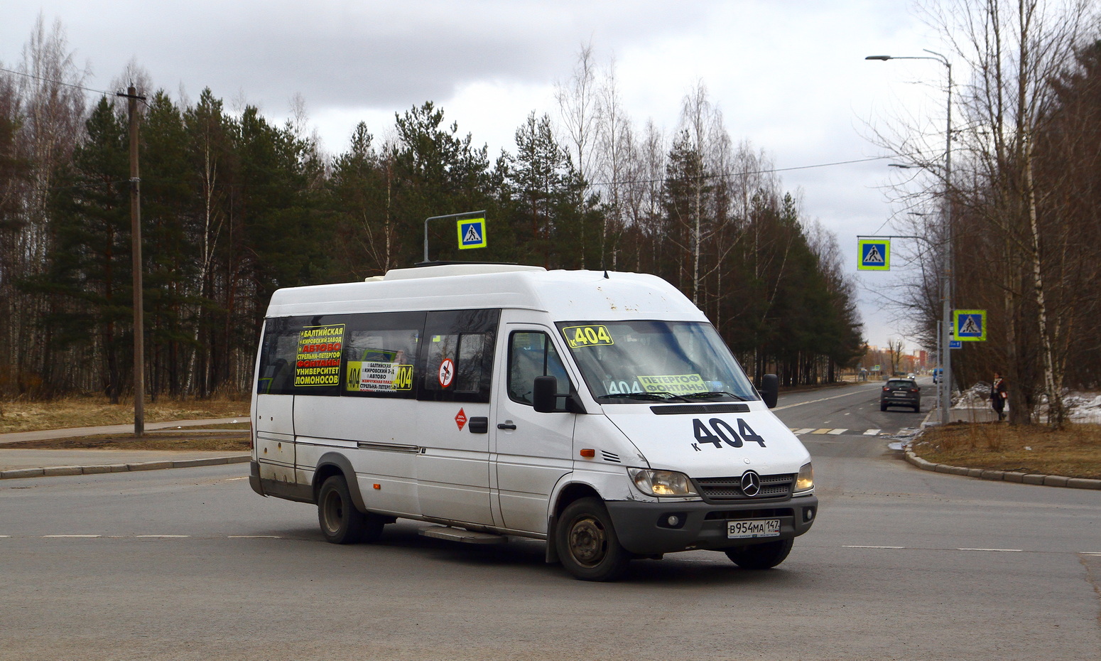 Санкт-Петербург, Луидор-223237 (MB Sprinter Classic) № В 954 МА 147
